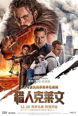 A级视频推荐：现实题材剧《第二十条回响》海报